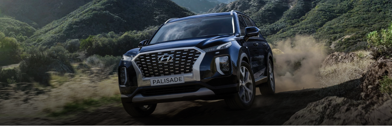 hyundai.png (1)