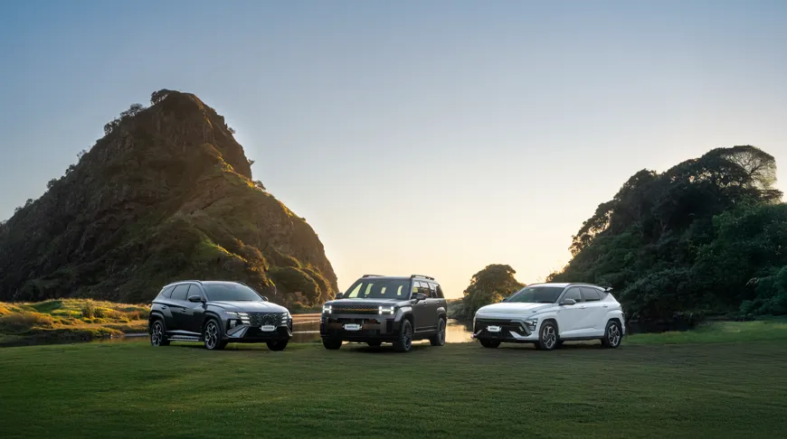 Hyundai Hero Extended More Copy